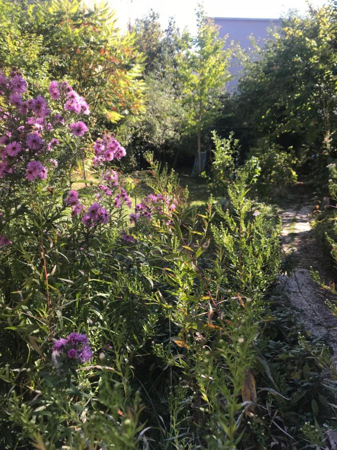Un Jardin Dans La Ville Bed & Breakfast Chalons en Champagne Ngoại thất bức ảnh